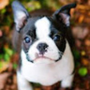 Meet your Posher, Nora